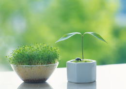 �����C���[�W03